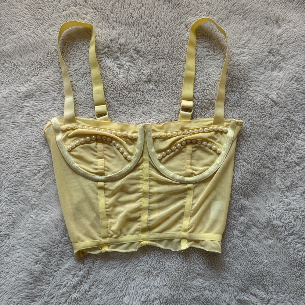 Danielle Guizio corset